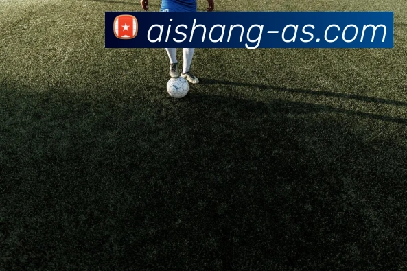 互动解说服务